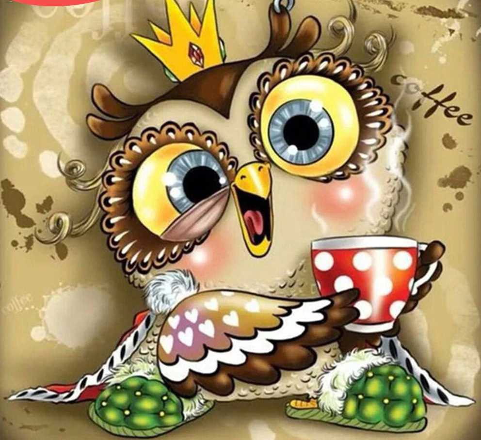 Funny Owl Cartoon – Diamond Painting Kits – 