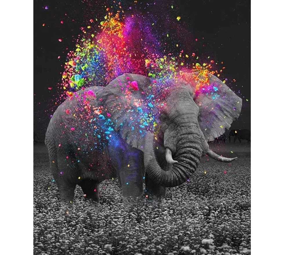 Black and White Elephant with Colors – Diamond Painting Kits